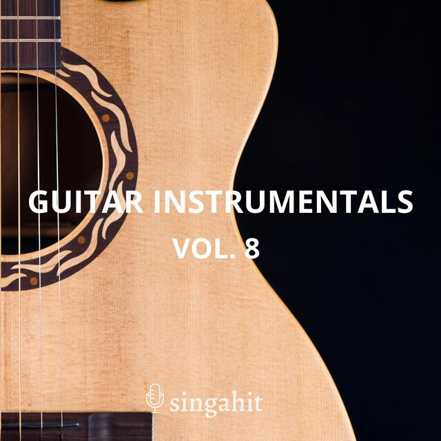 Guitar Acoustic Instrumental, Vol. 8