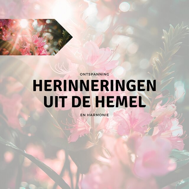 Herinneringen uit de Hemel