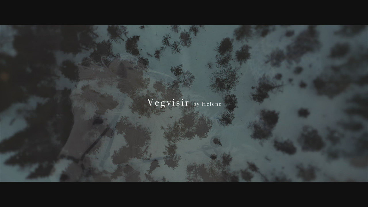 Vegvisir