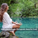 Hassle Free Melodies