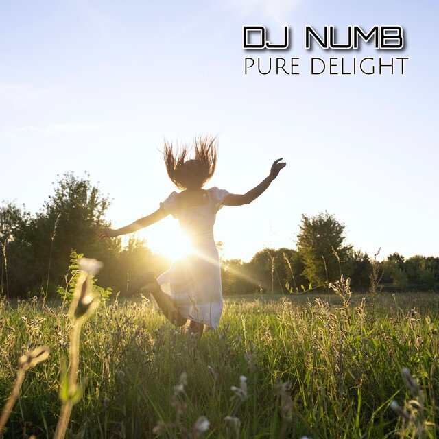 Pure Delight (Radio Edit)