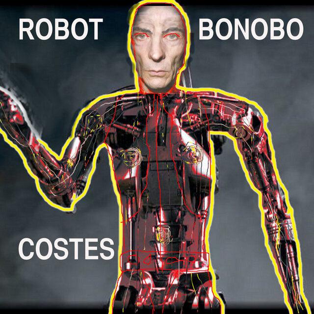 Robot bonobo