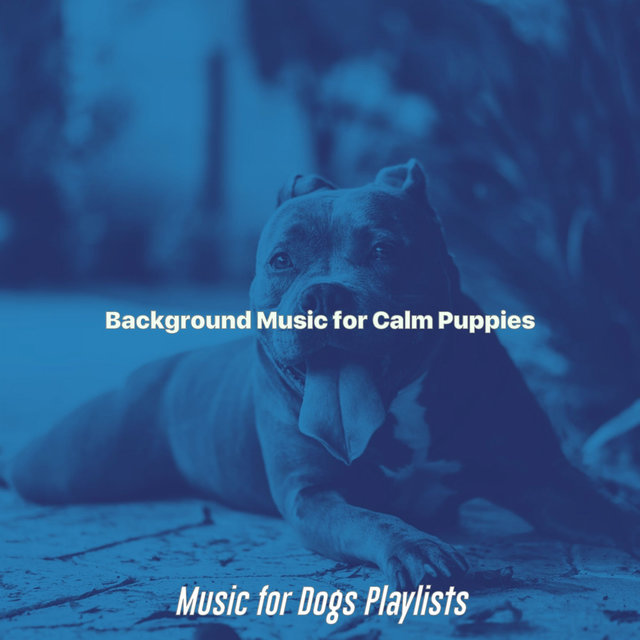 Background Music for Calm Puppies
