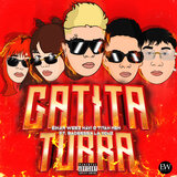 Gatita Turra