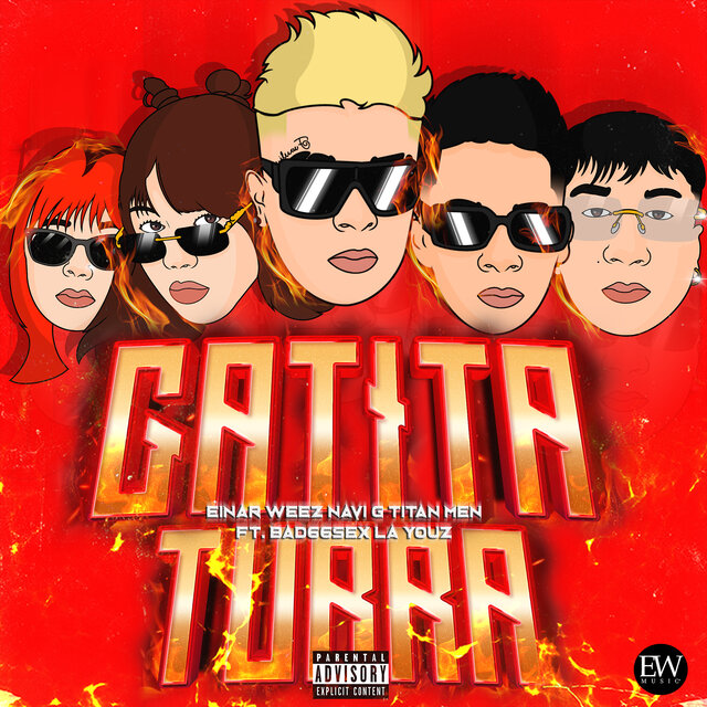 Gatita Turra