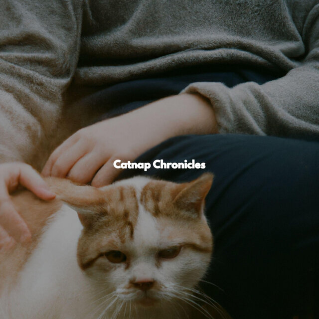 Catnap Chronicles