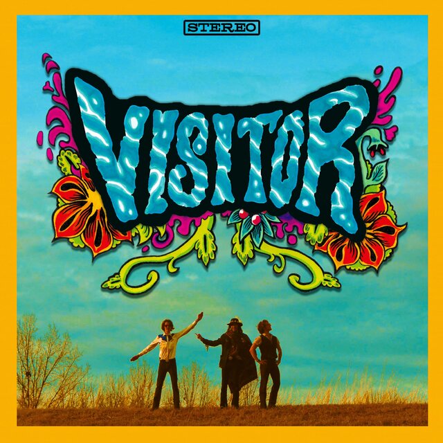Visitor