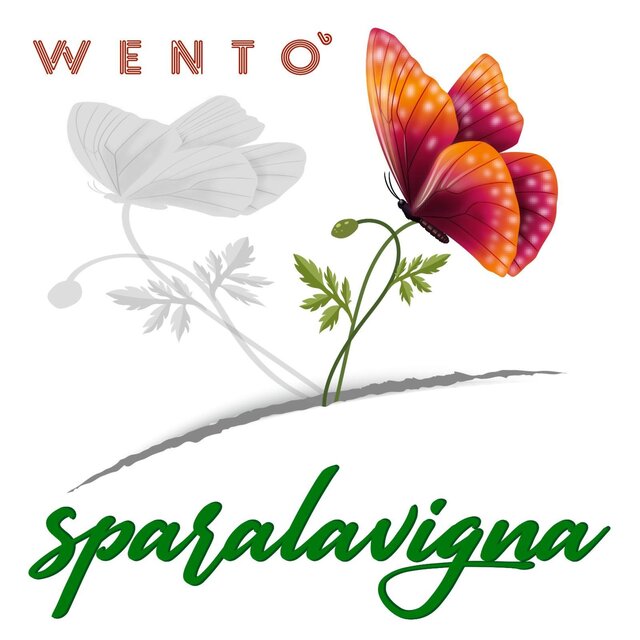 Sparalavigna