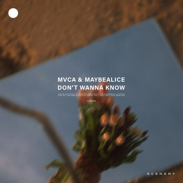 Don't Wanna Know
