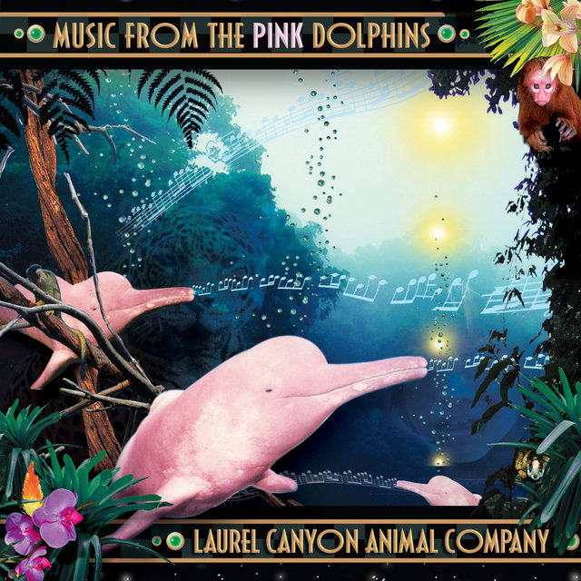 Music from the Pink Dolphins