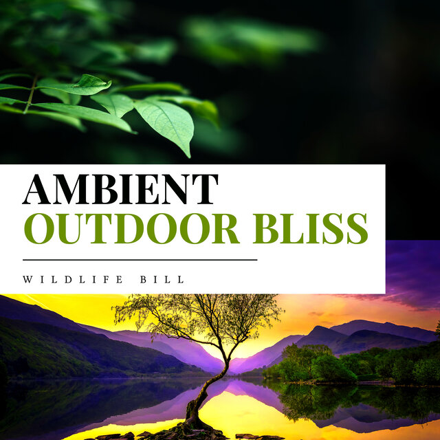 Ambient Outdoor Bliss