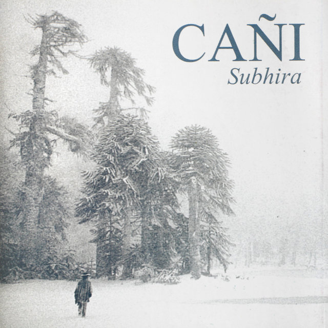 Cañi