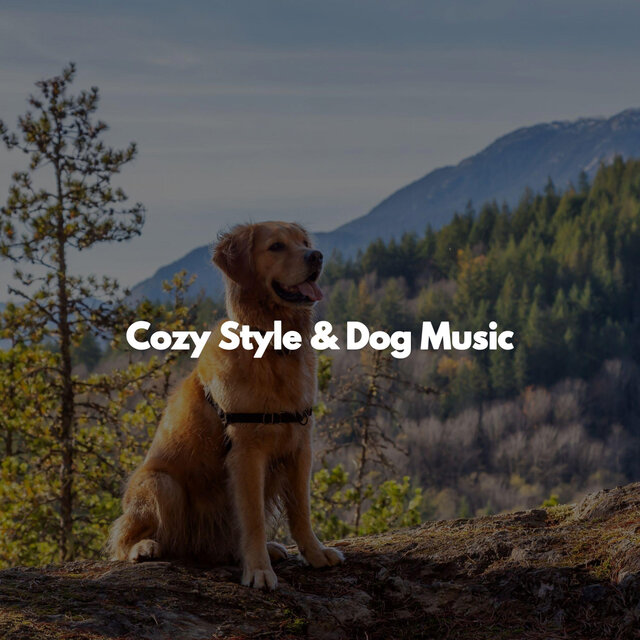 Cozy Style & Dog Music