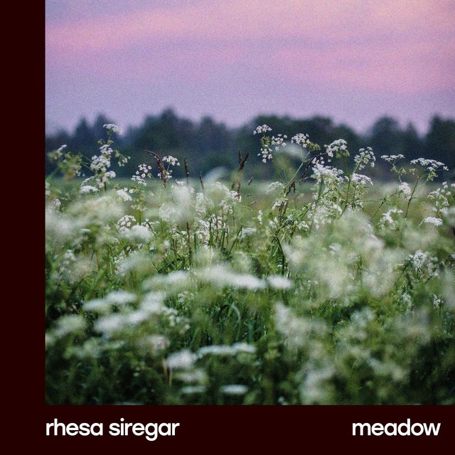 meadow