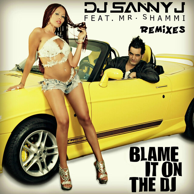 Blame It On the DJ (feat. Mr. Shammi) [Remixes]