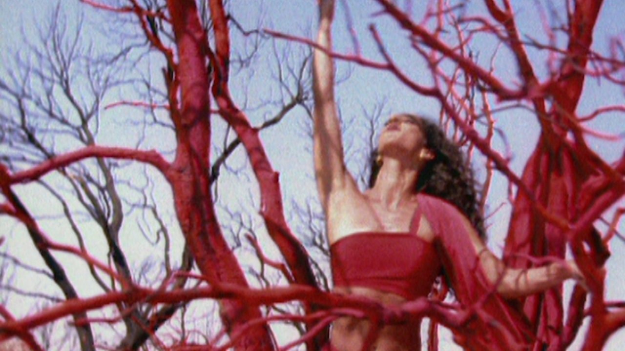 Yo Te Dare (Videoclip)