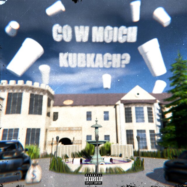 CO W MOICH KUBKACH?
