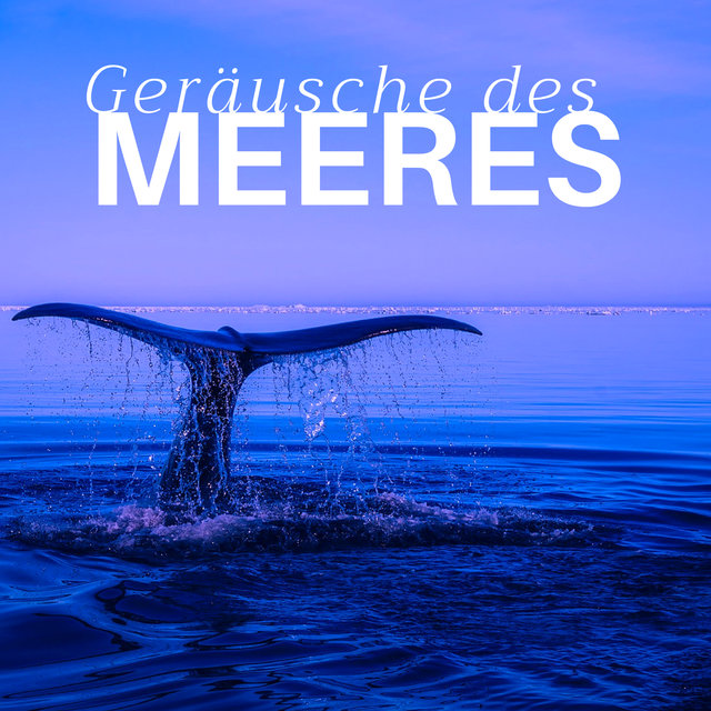 Geräusche des Meeres 30 - 2 STUNDEN Naturgeräusche und entspannende Musik