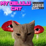 MY DELULU CAT