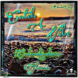 Catch A Vibe (feat. Glacia & ShadoWing)