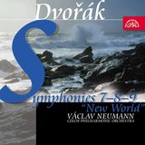 Symphony No. 9 in E Minor, Op. 95, B. 178 