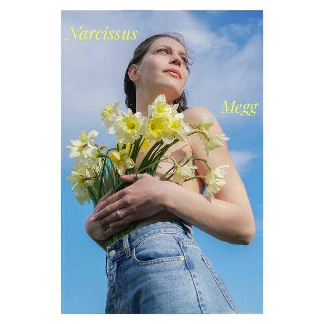 Narcissus