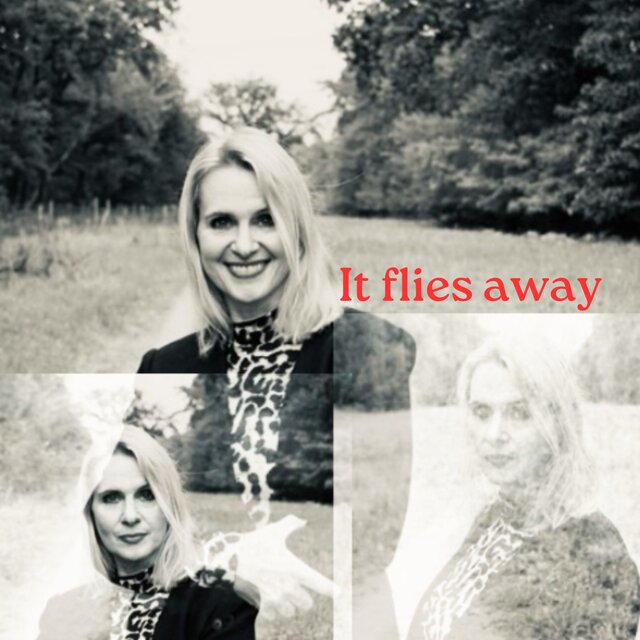 It Flies Away