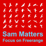 Focus On : Freerange