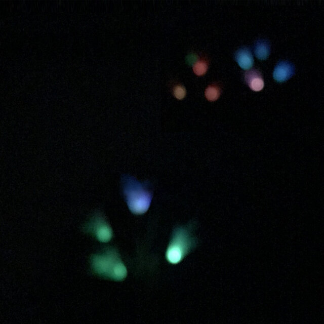 Firefly (Acoustic)