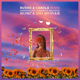 Nunca Vai Mudar