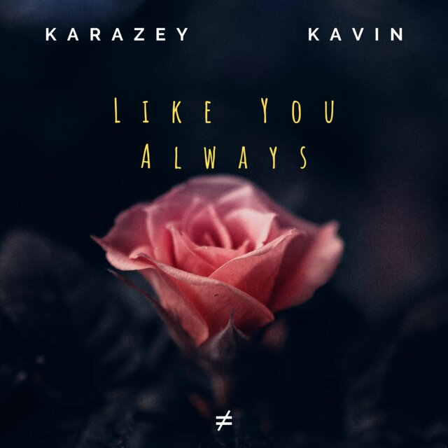 Like You Always (Radio Edit)
