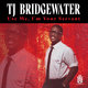 Cover art for album Use Me, I'm Your Servant by TJ Bridgewater