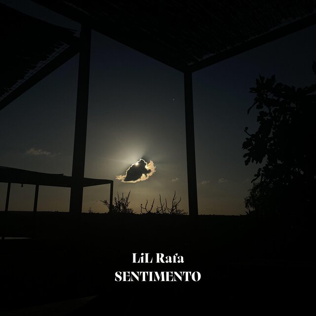  Sentimento