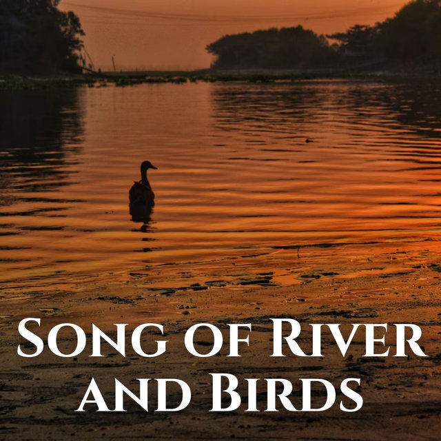 Song of River and Birds