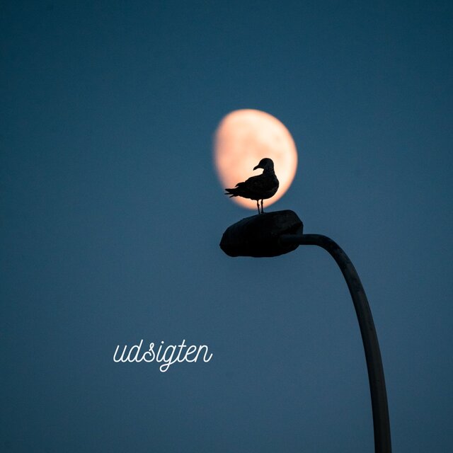 Udsigten
