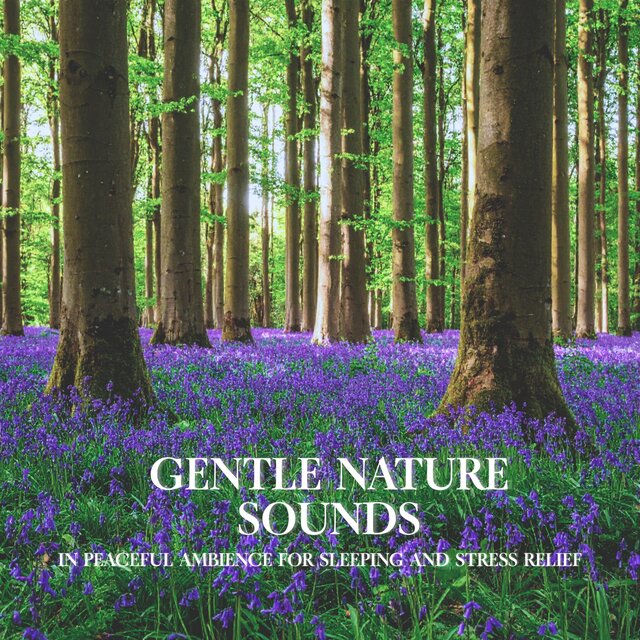Gentle Nature Sounds in Peaceful Ambience for Sleeping and Stress Relief