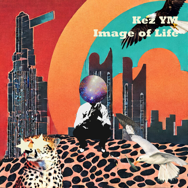 Image of Life