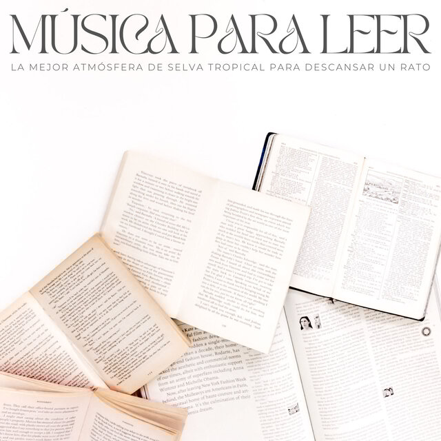 Música Para Leer: La Mejor Atmósfera De Selva Tropical Para Descansar Un Rato