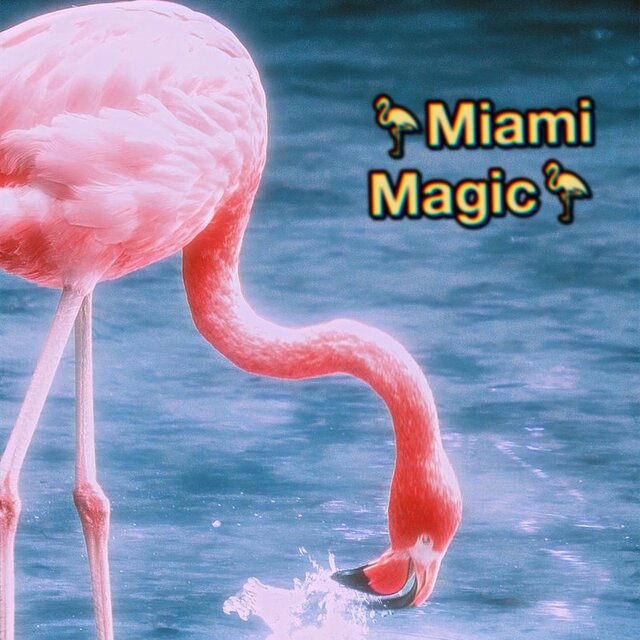 Miami Magic