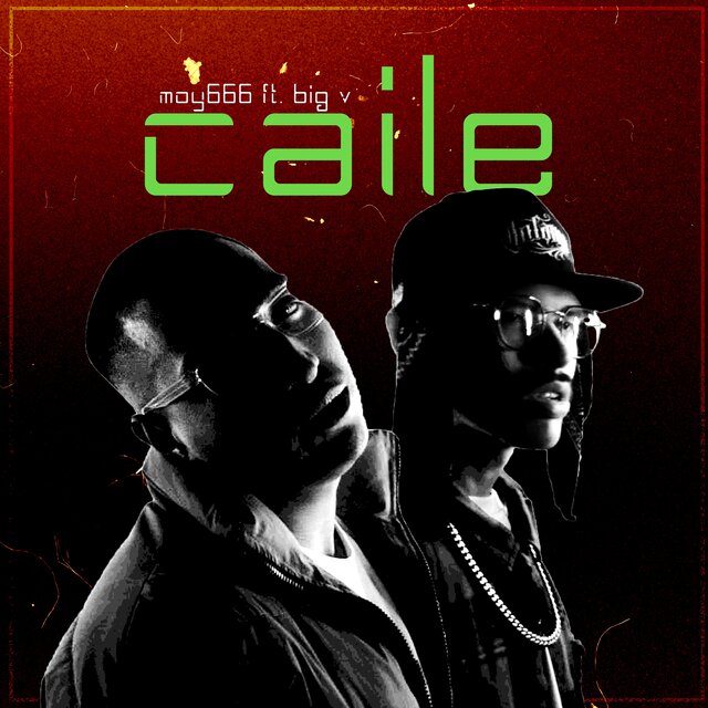 Caile