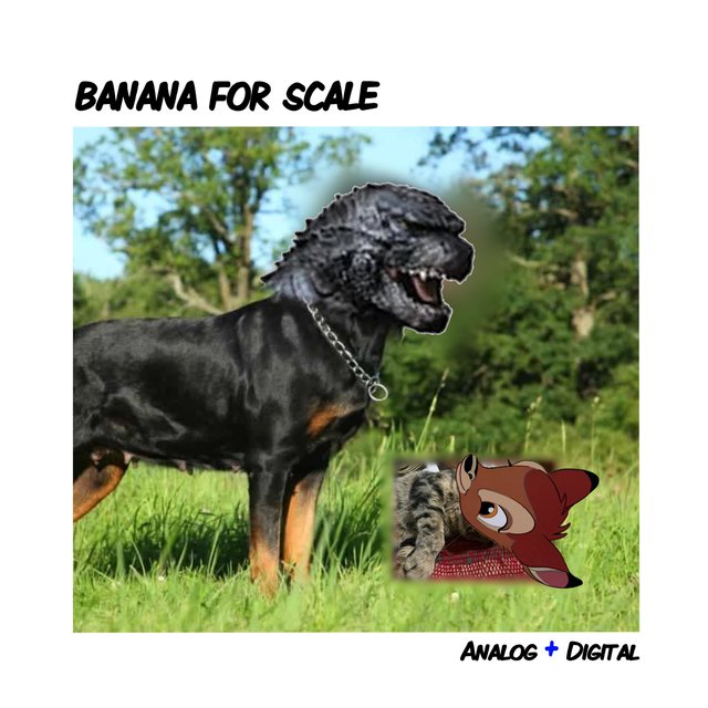 Banana for Scale