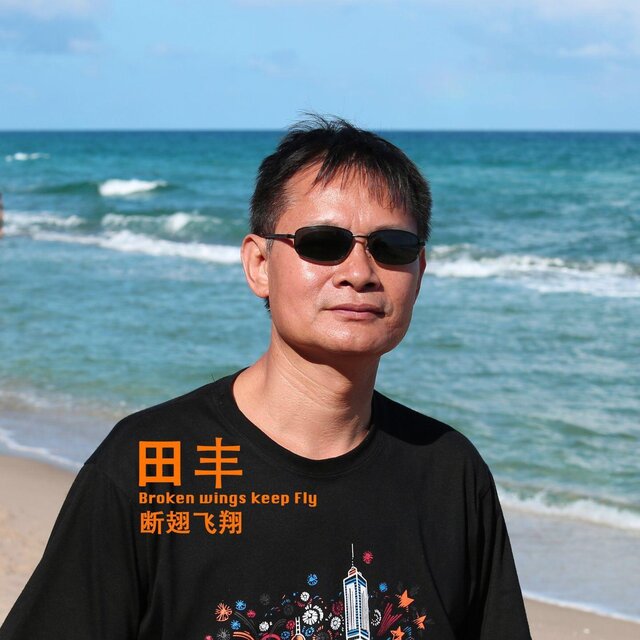 斷翅飛翔