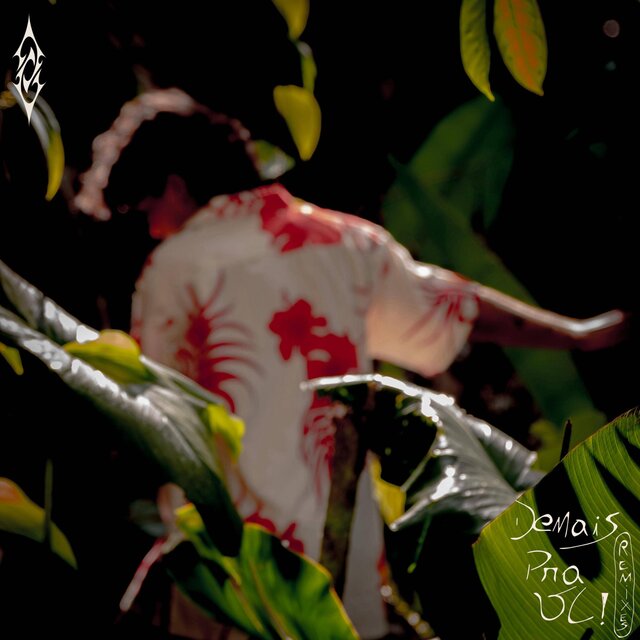 Demais Pra Você (Remixes)
