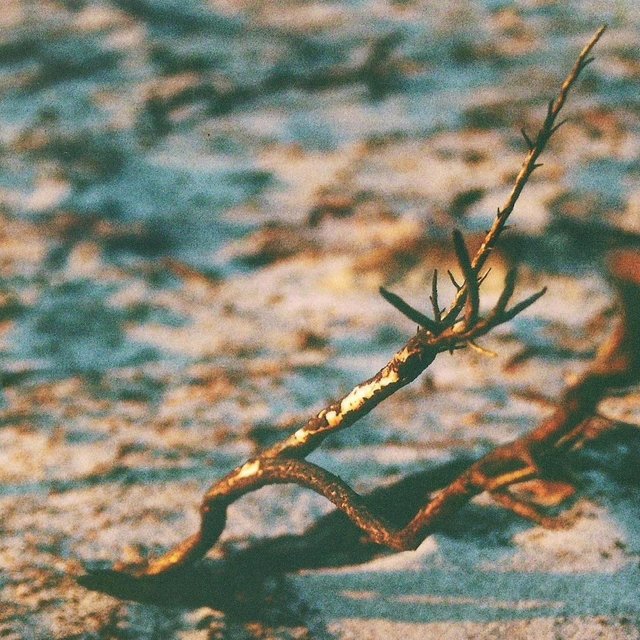 Ascension