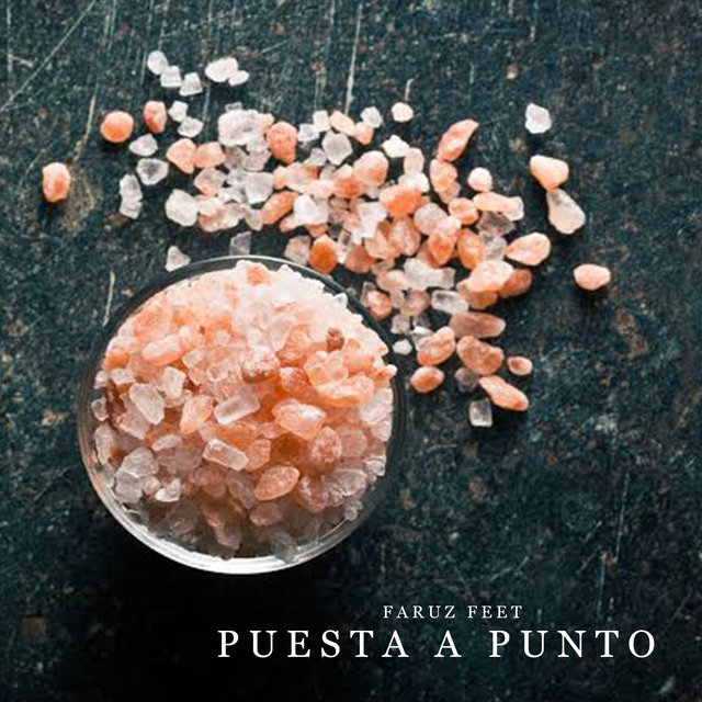 Puesta a Punto