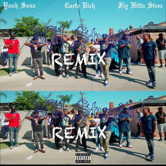 Nh Stupid (Remix)