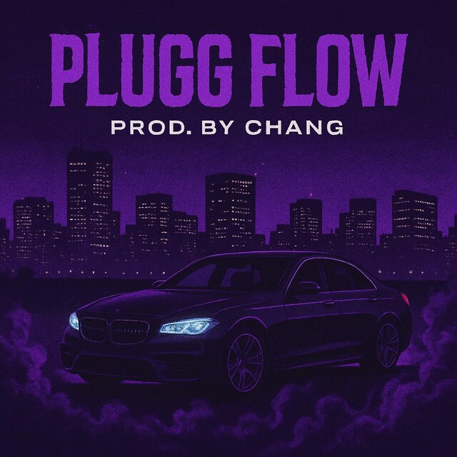 Plugg Flow