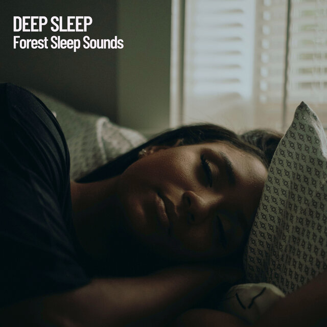 Deep Sleep: Forest Sleep Sounds