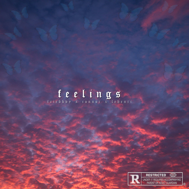 Feelings