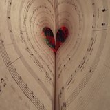 Corazón de Guerrero